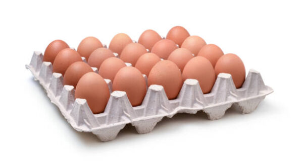 Top Tray Eggs Large